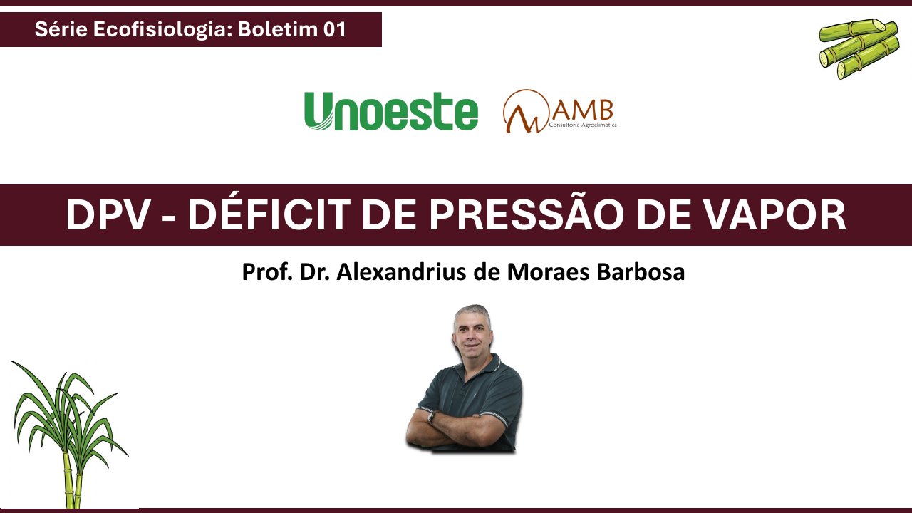 Capa do Boletim 01 – Déficit de Pressão de Vapor